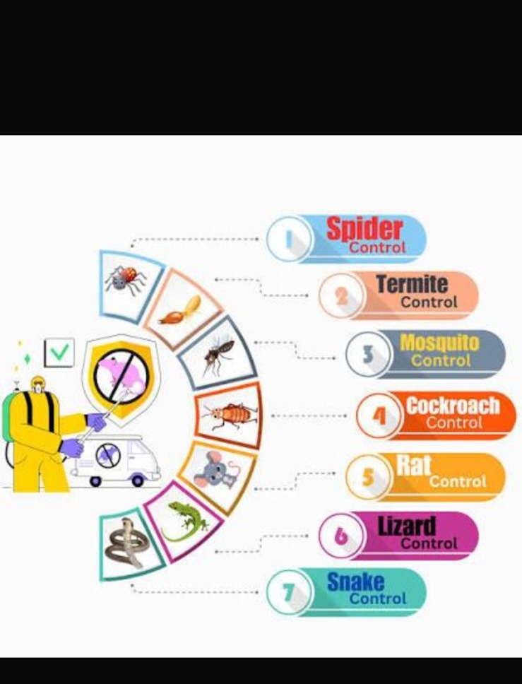 Pest Control – photo 5