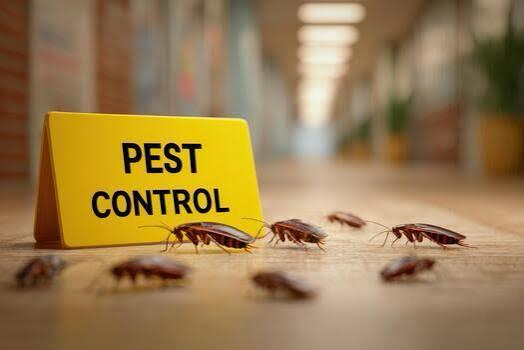 Pest Control Services